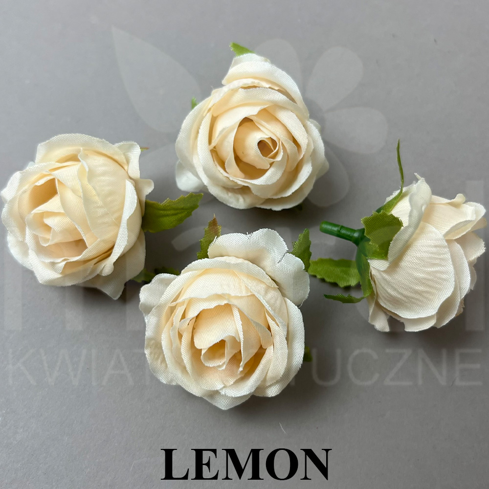 LEMON.jpg