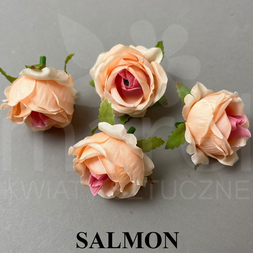 SALMON.jpg