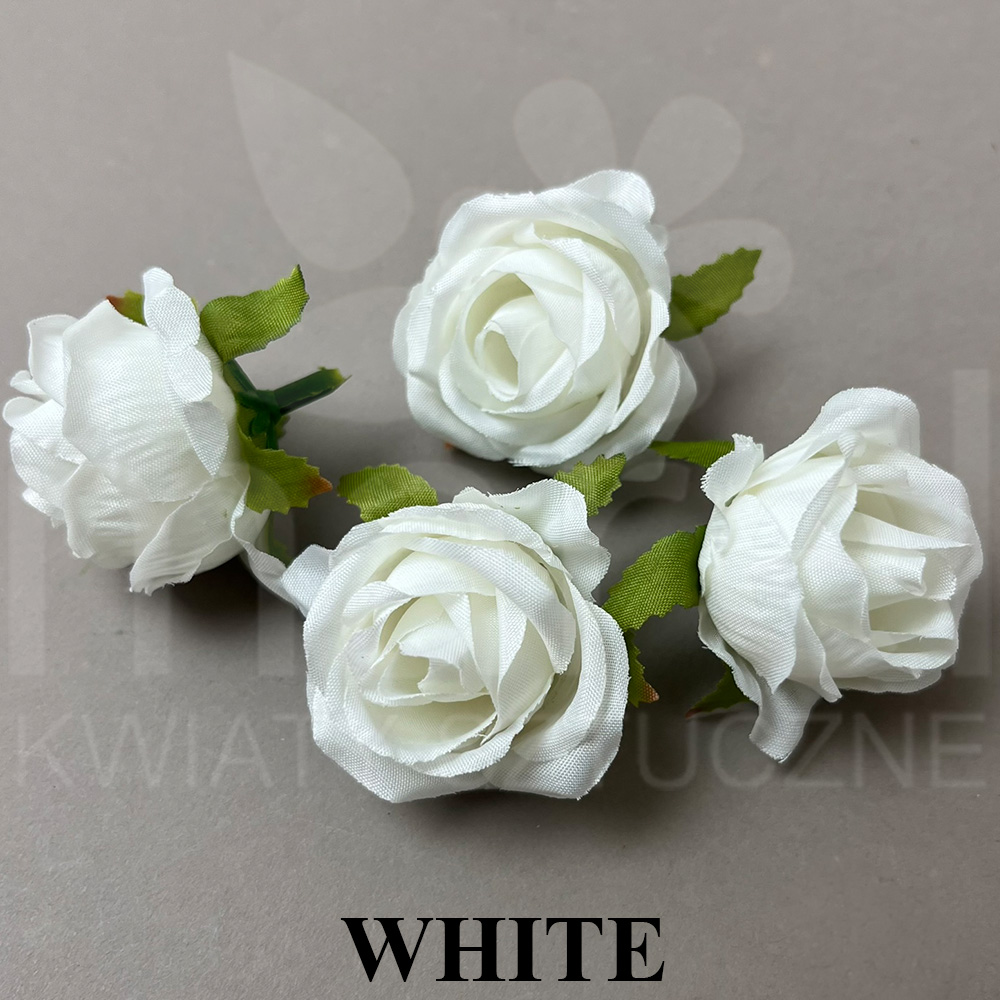WHITE.jpg