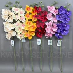 Storczyk MRL00609 MIX