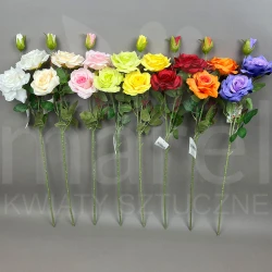 Róża MRL00630 MIX