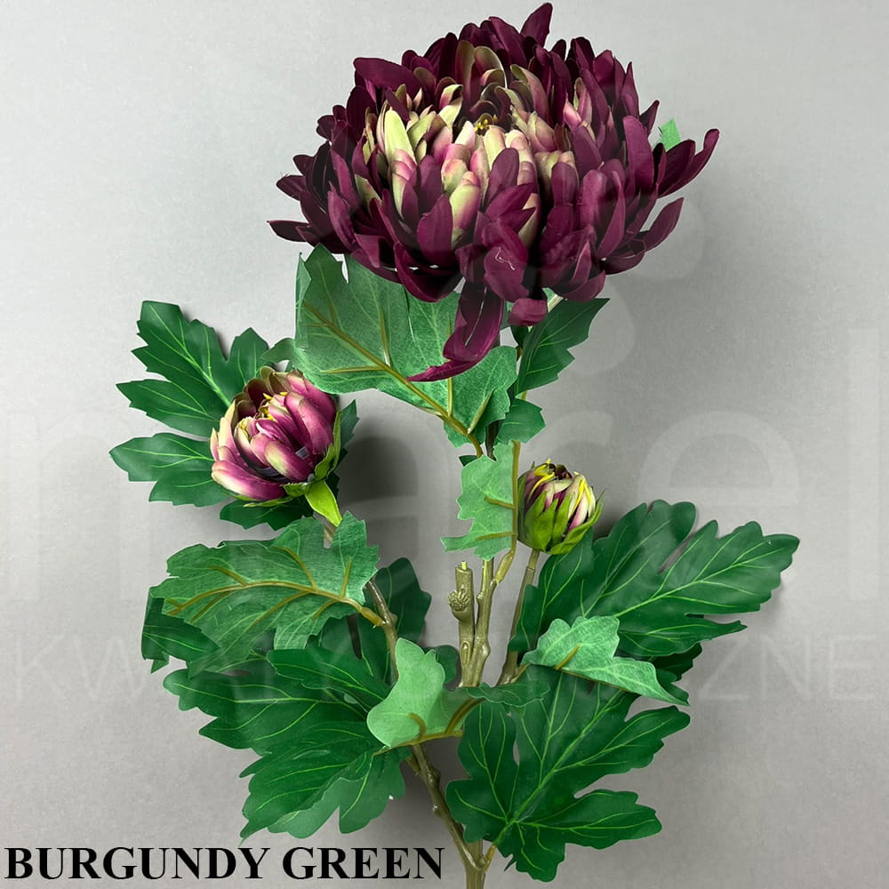 BURGUNDY GREEN.jpg