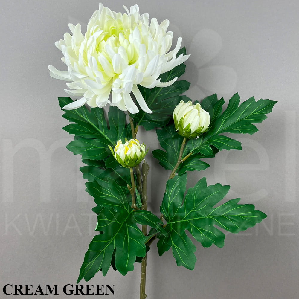 CREAM GREEN.jpg