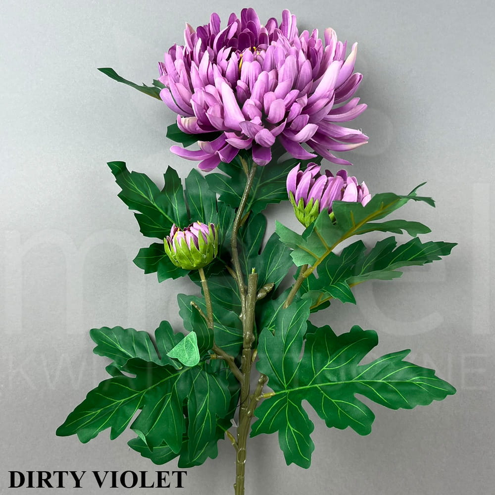 DIRTY VIOLET.jpg