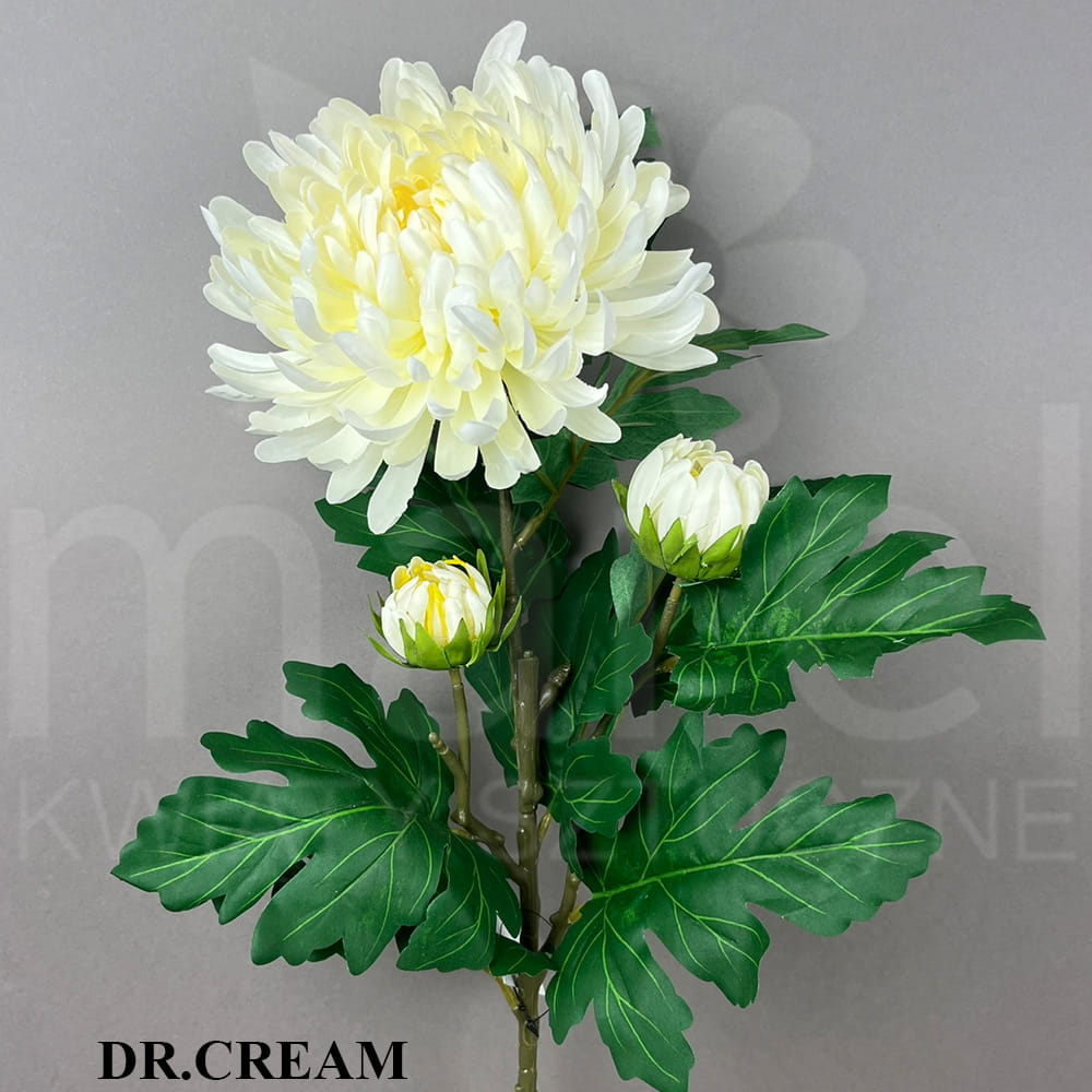DR CREAM.jpg