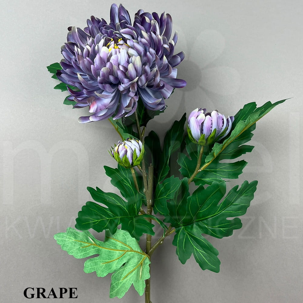 GRAPE.jpg