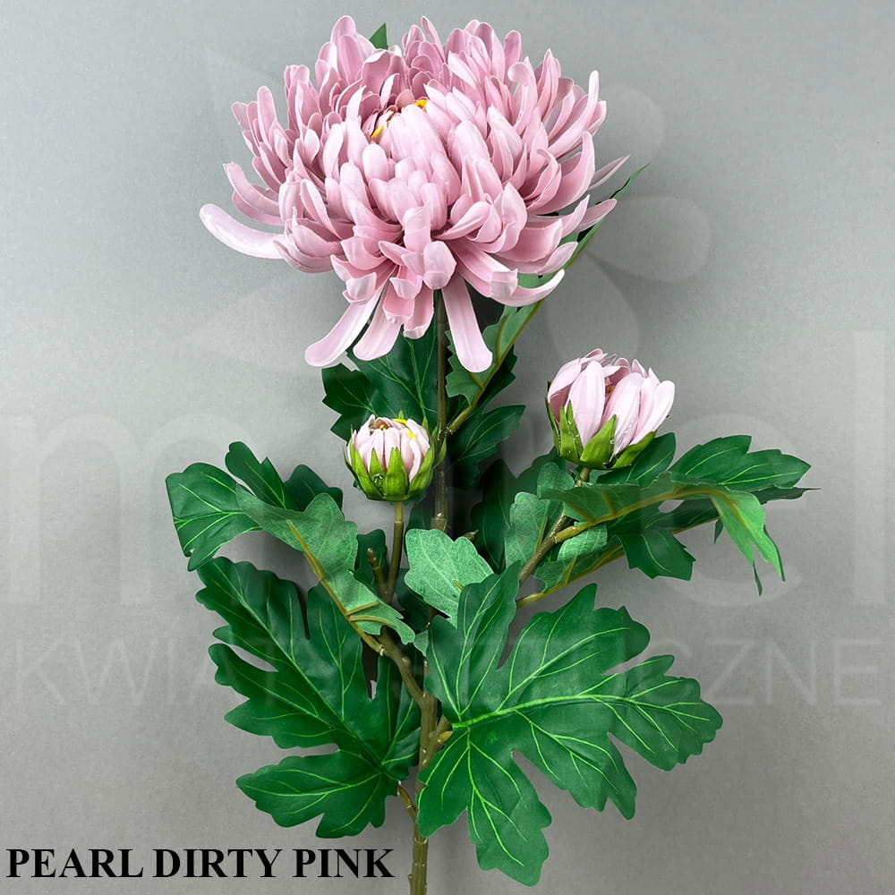 PEARL DIRTY PINK.jpg