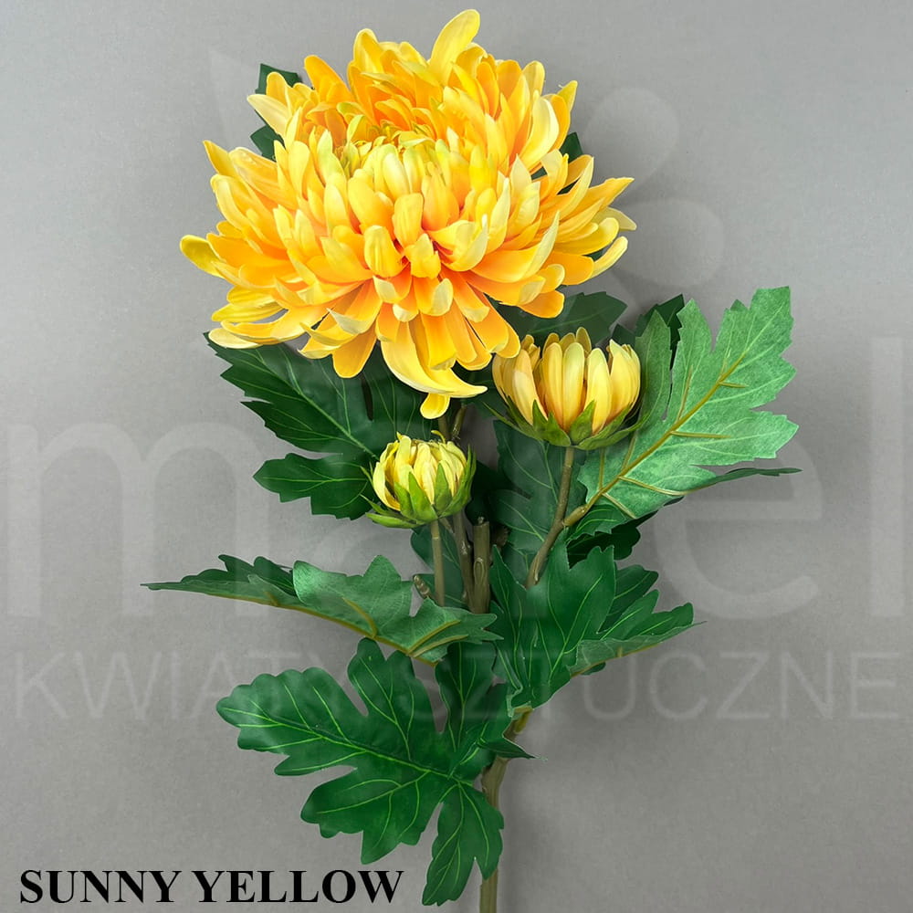 SUNNY YELLOW.jpg