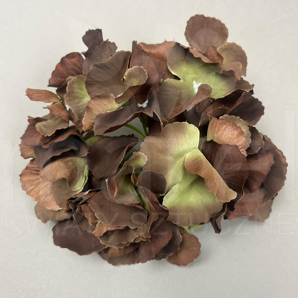 3CLE18 DK.BROWN.jpg