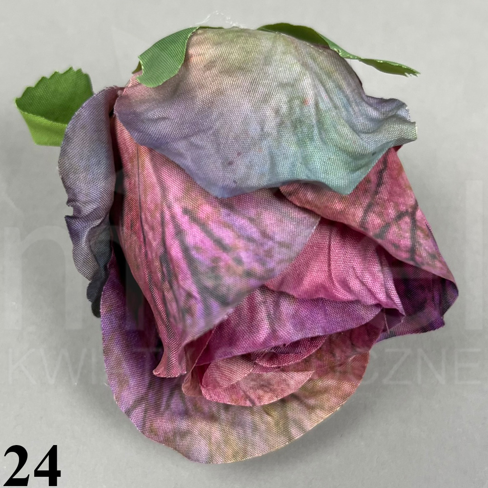 24.jpg