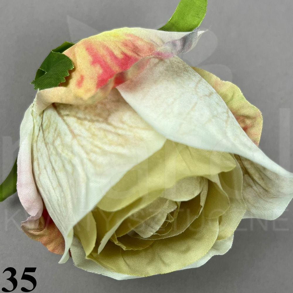 35.jpg
