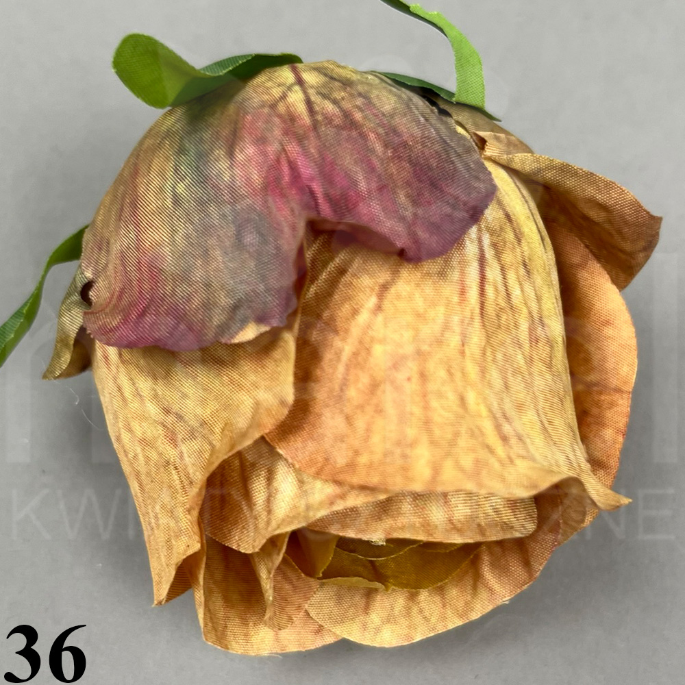 36.jpg