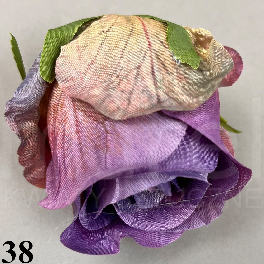 38.jpg