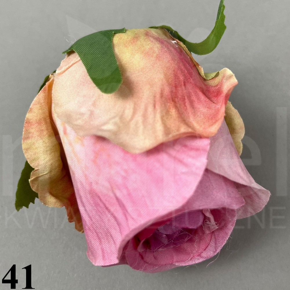41.jpg