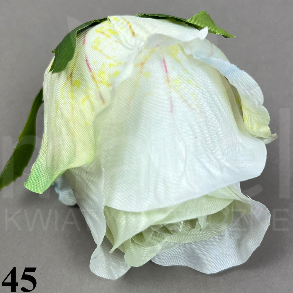 45.jpg