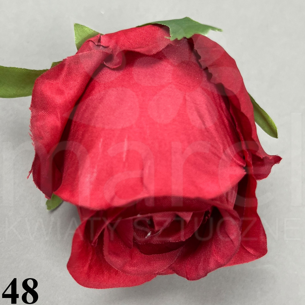48.jpg