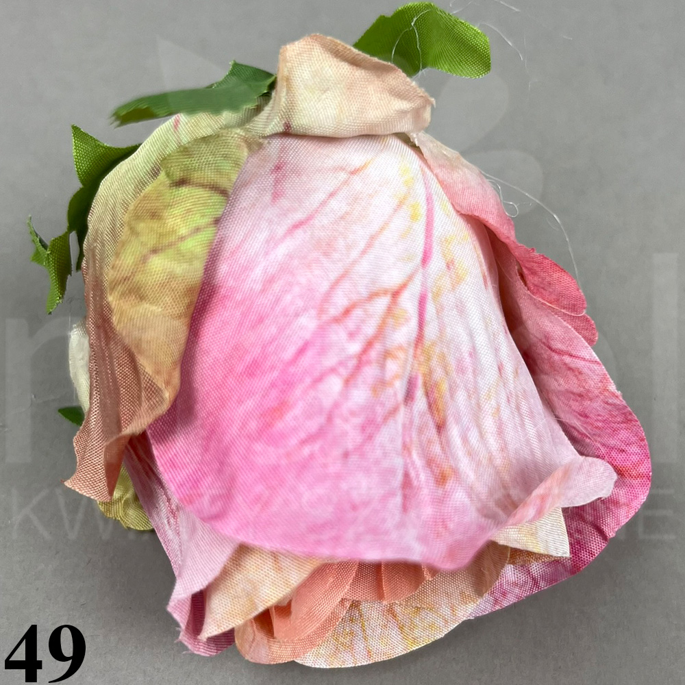 49.jpg