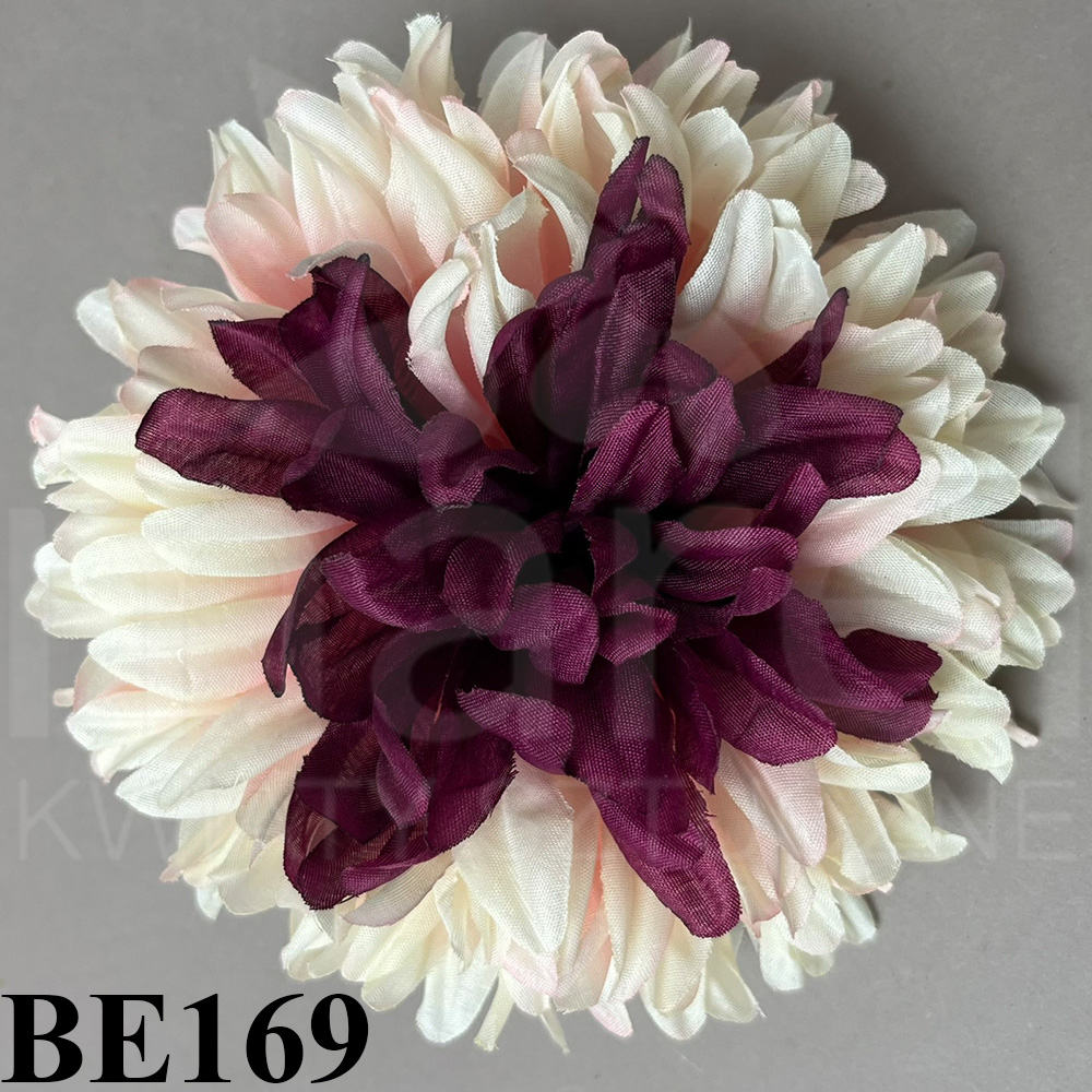 BE169.jpg