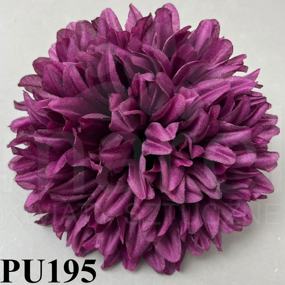 PU195.jpg