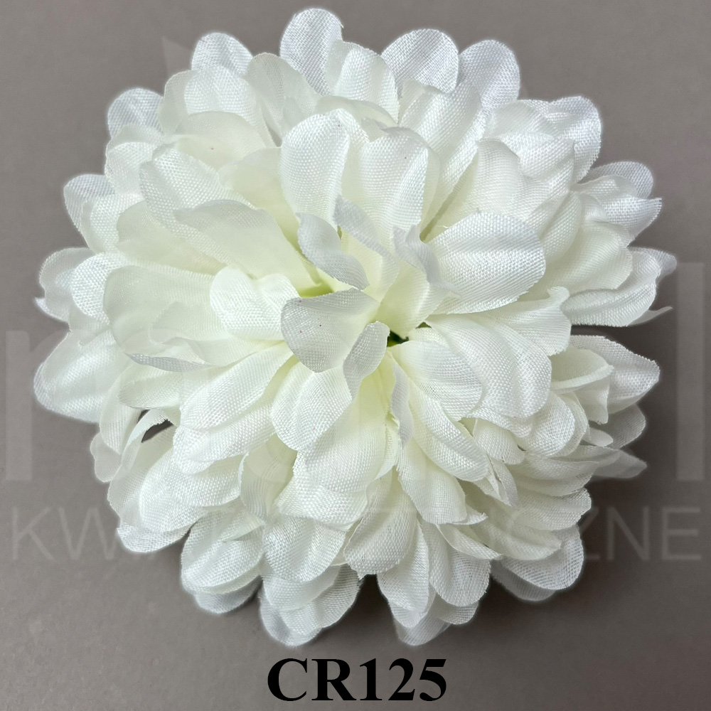 CR125.jpg