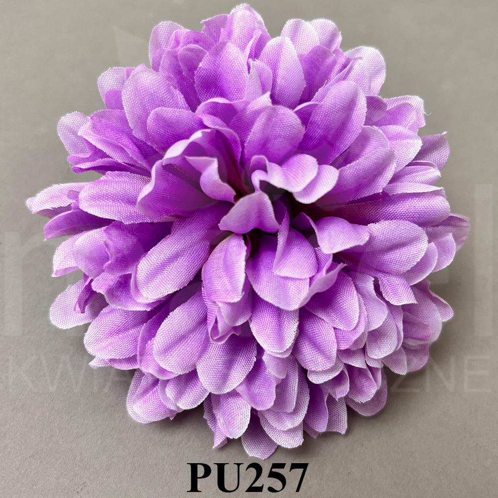 PU257.jpg