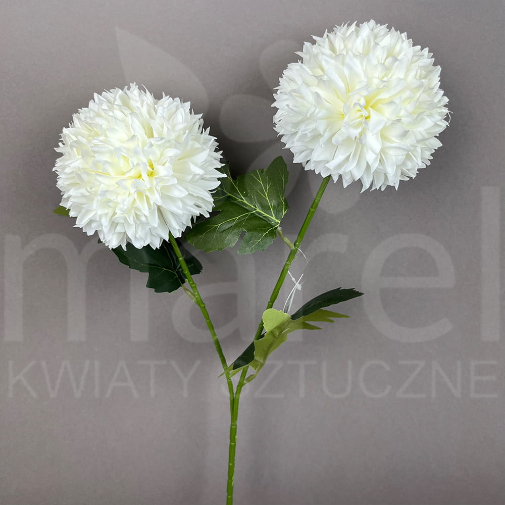 DL050586 PRZYB.jpg