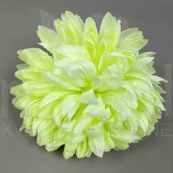 Chryzantema CH1616 W148