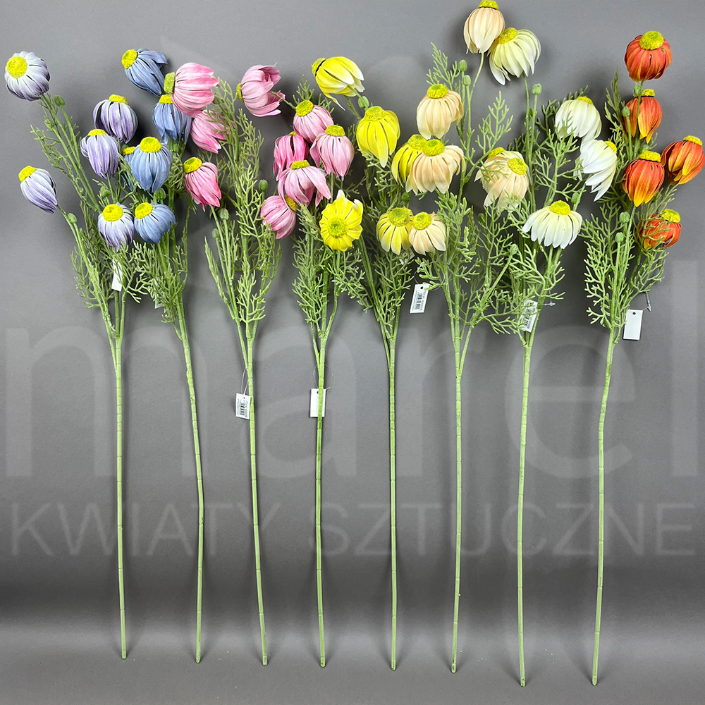 HD2630258 MIX.jpg