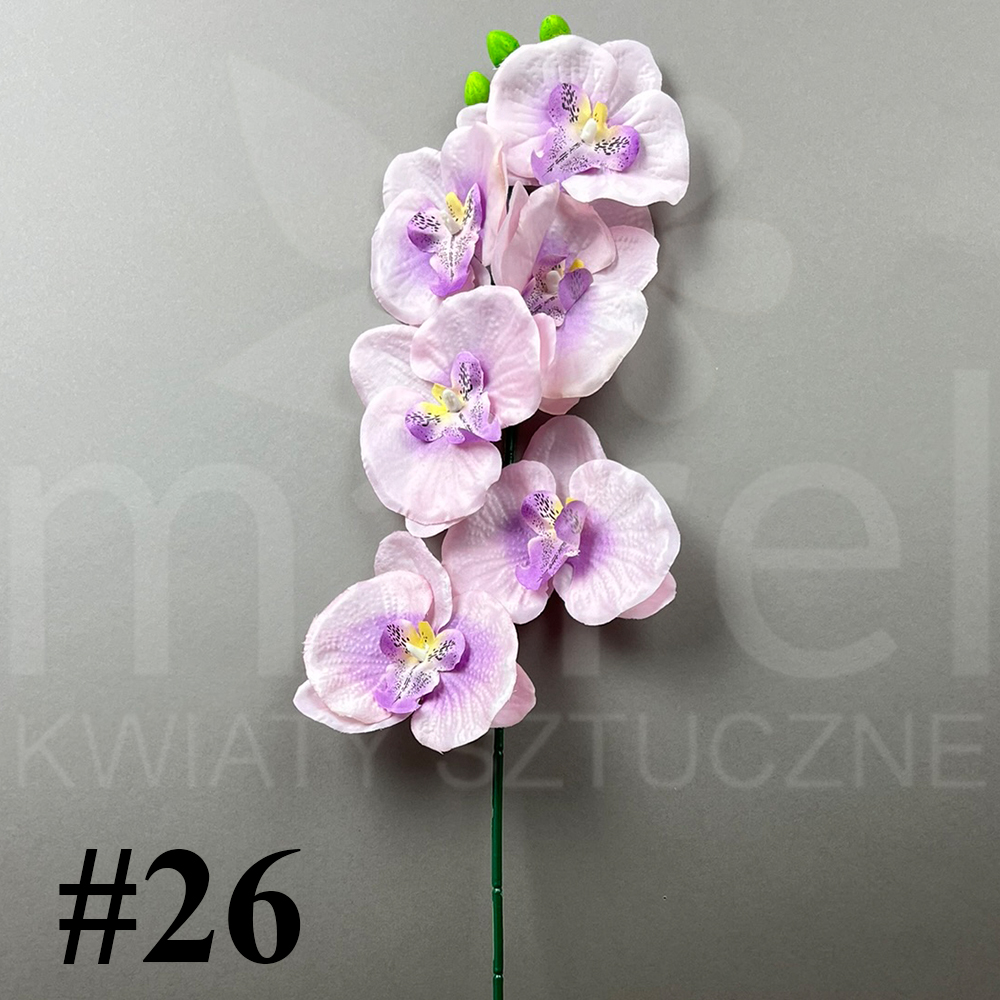 #26.jpg