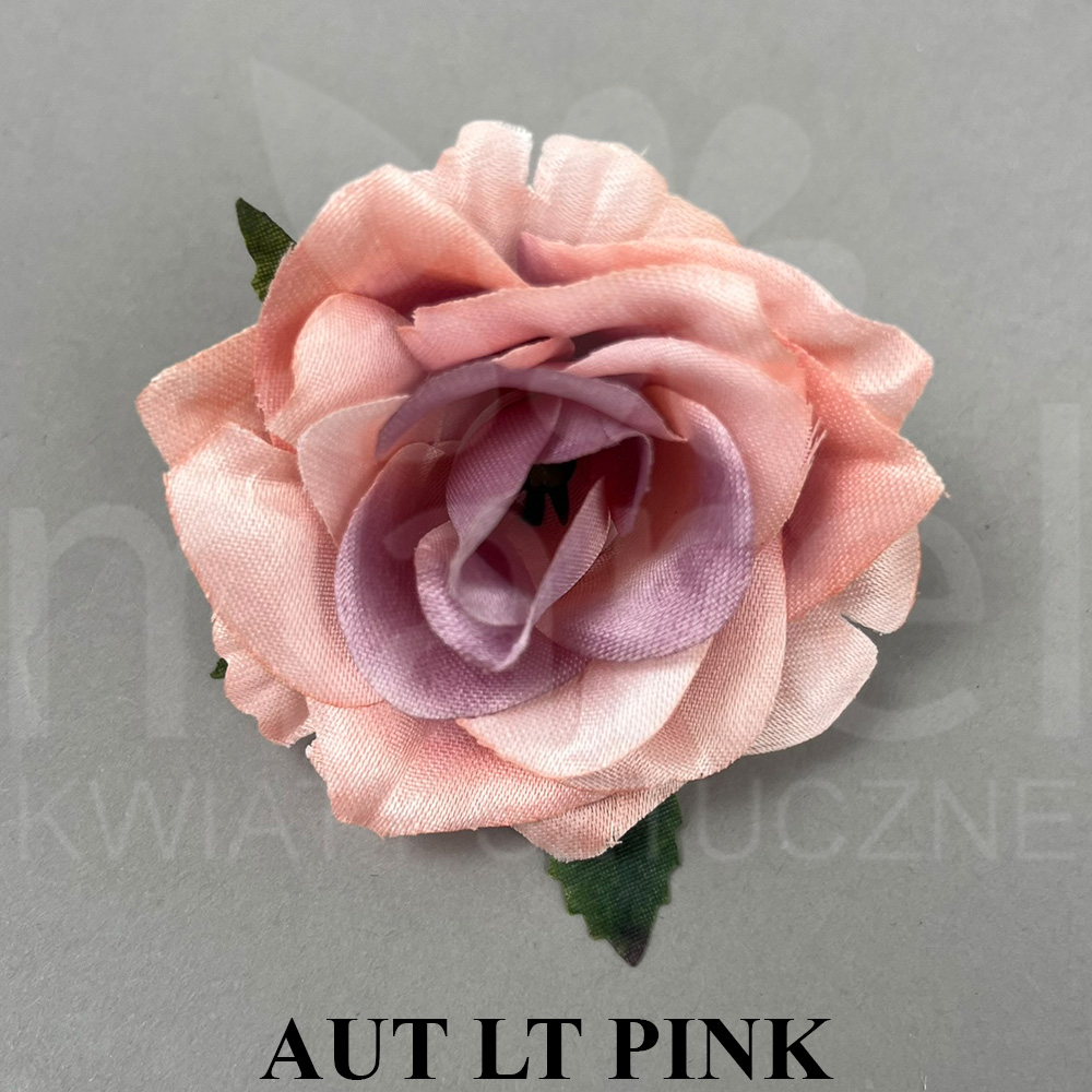 AUT LT PINK.jpg