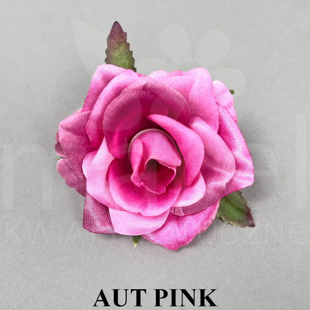 AUT PINK.jpg