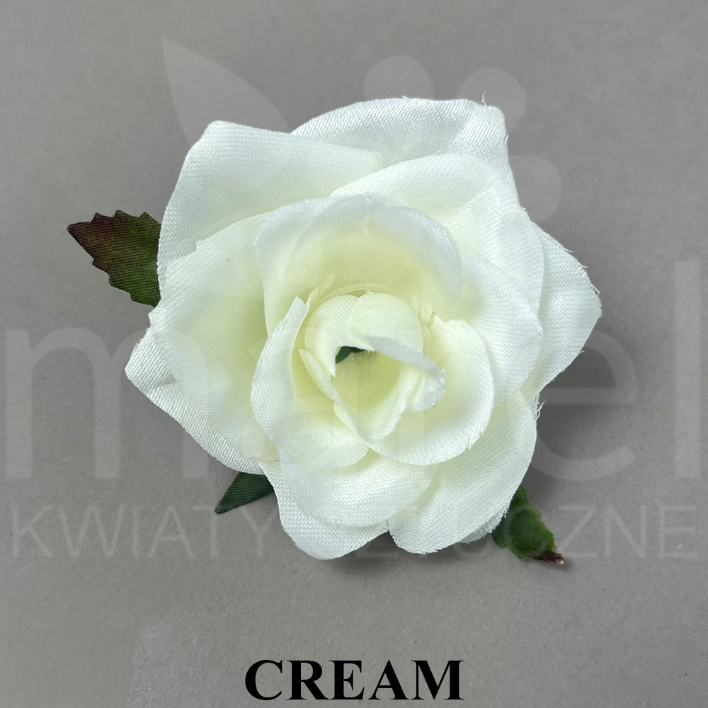 CREAM.jpg