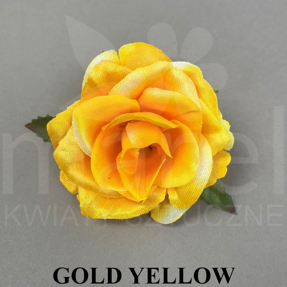 GOLD YELLOW.jpg