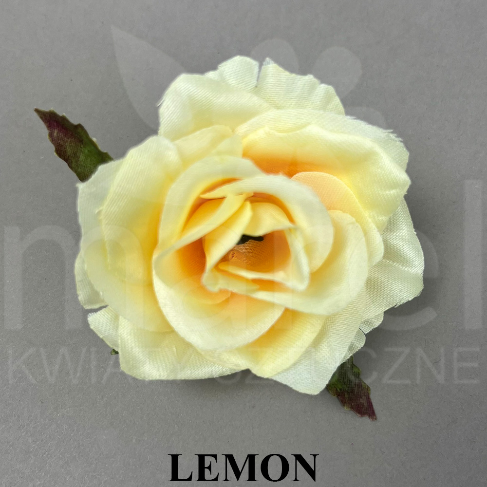 LEMON.jpg
