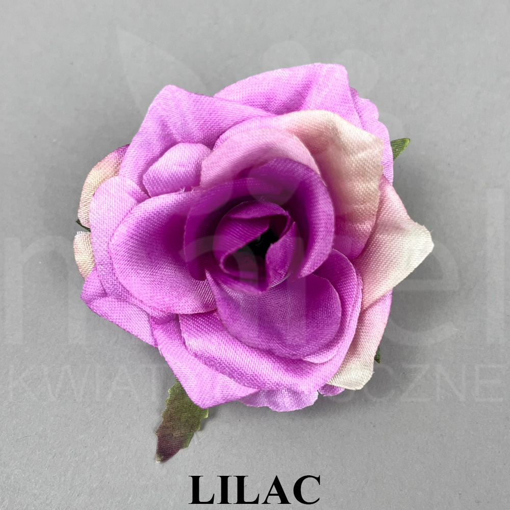 LILAC.jpg