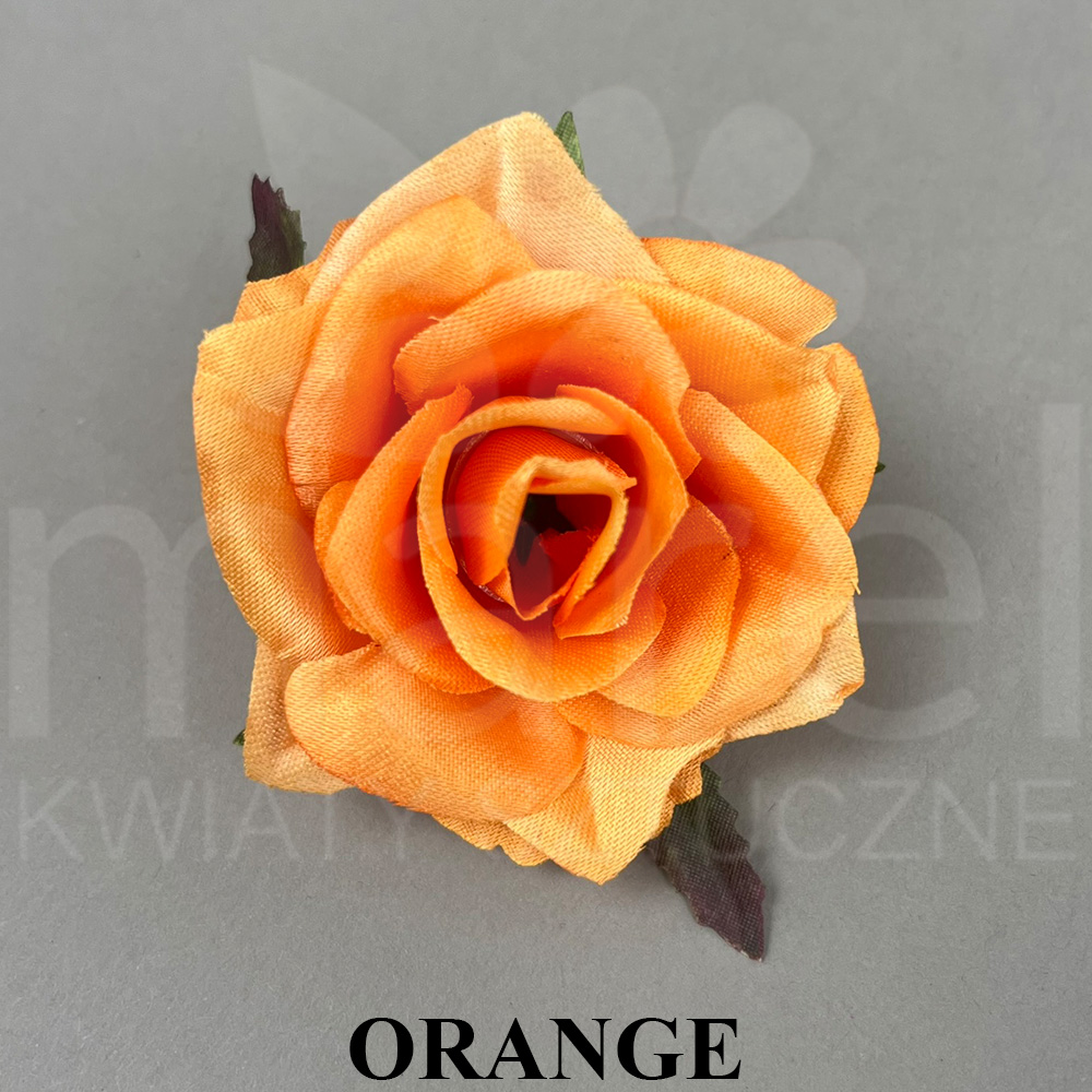 ORANGE.jpg