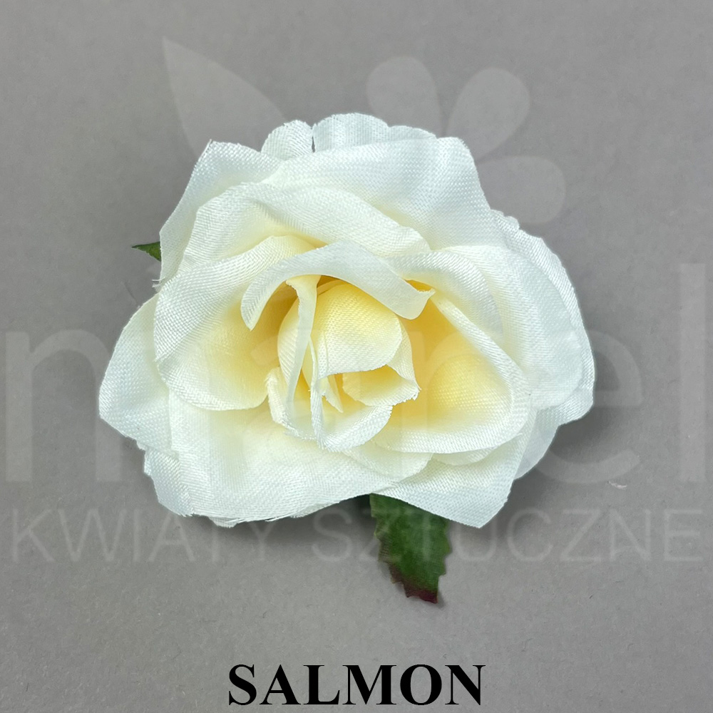 SALMON.jpg