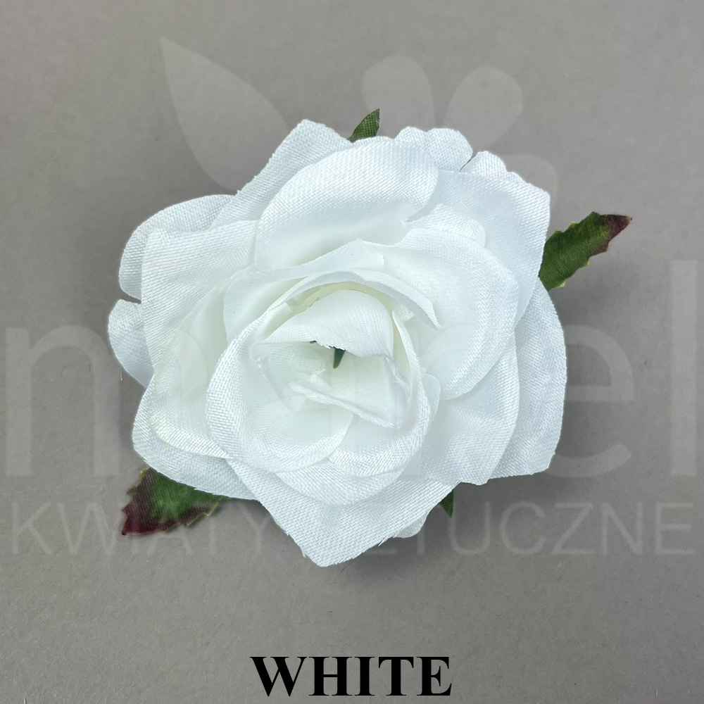 WHITE.jpg