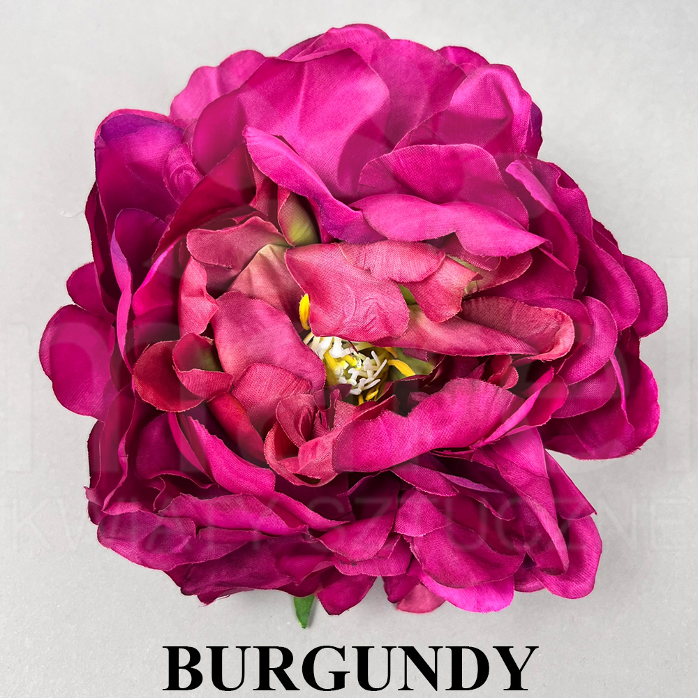 BURGUNDY.jpg