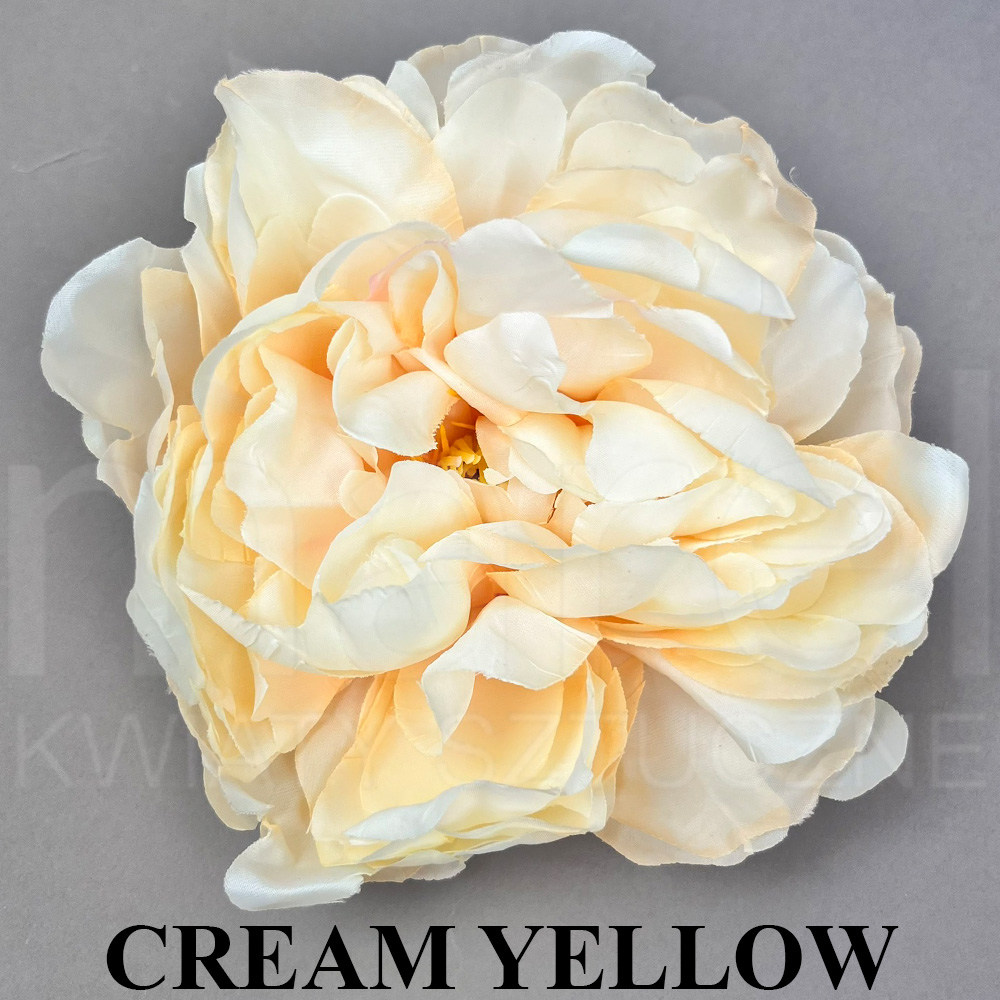 CREAM YELLOW.jpg