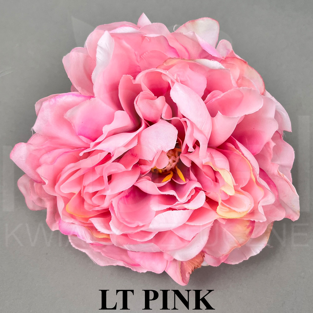 LT PINK.jpg