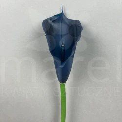 Kalia ANA1013 Deep Blue