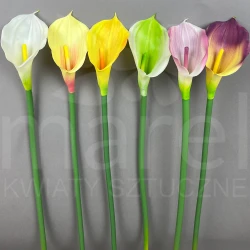 Kalia S15-29 MIX1