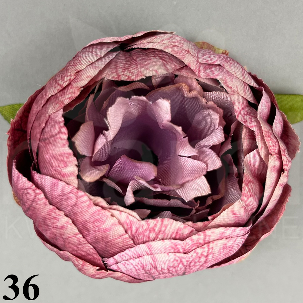 36.jpg