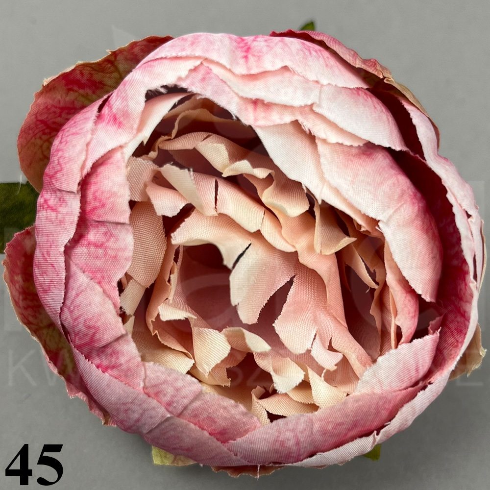45.jpg