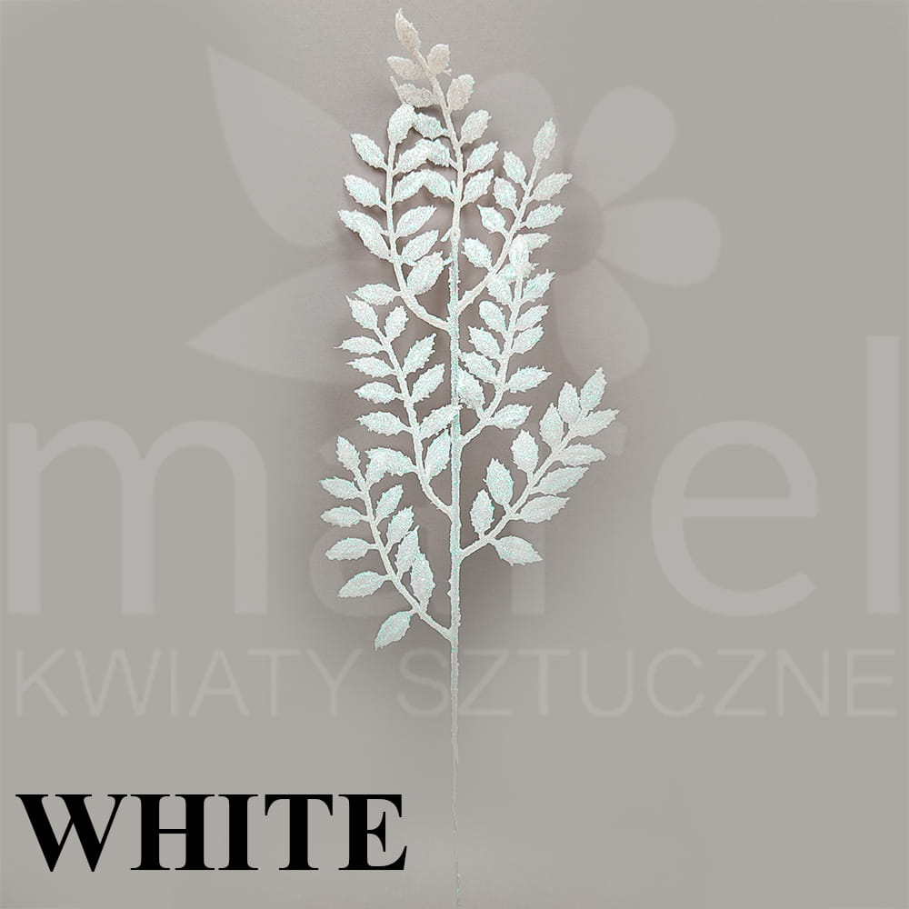 XKP051 WHITE.jpg