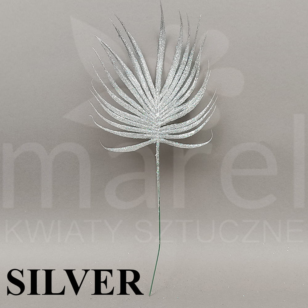 XKP0124 SILVER.jpg