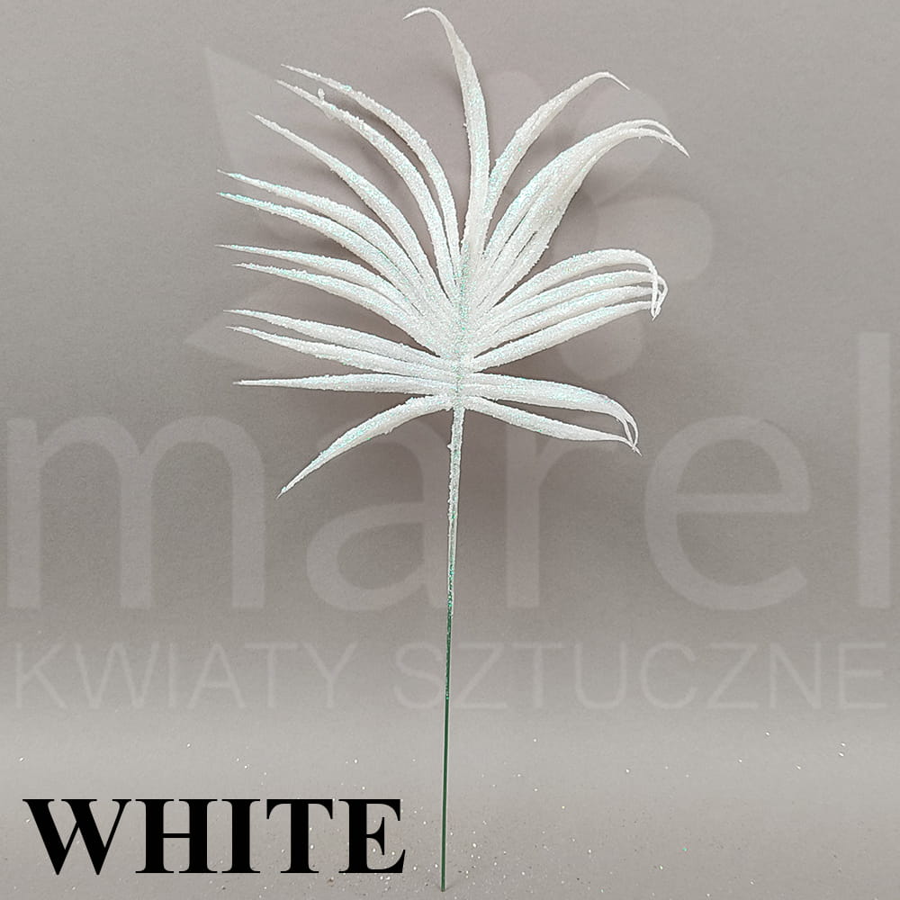 XKP0124 WHITE.jpg