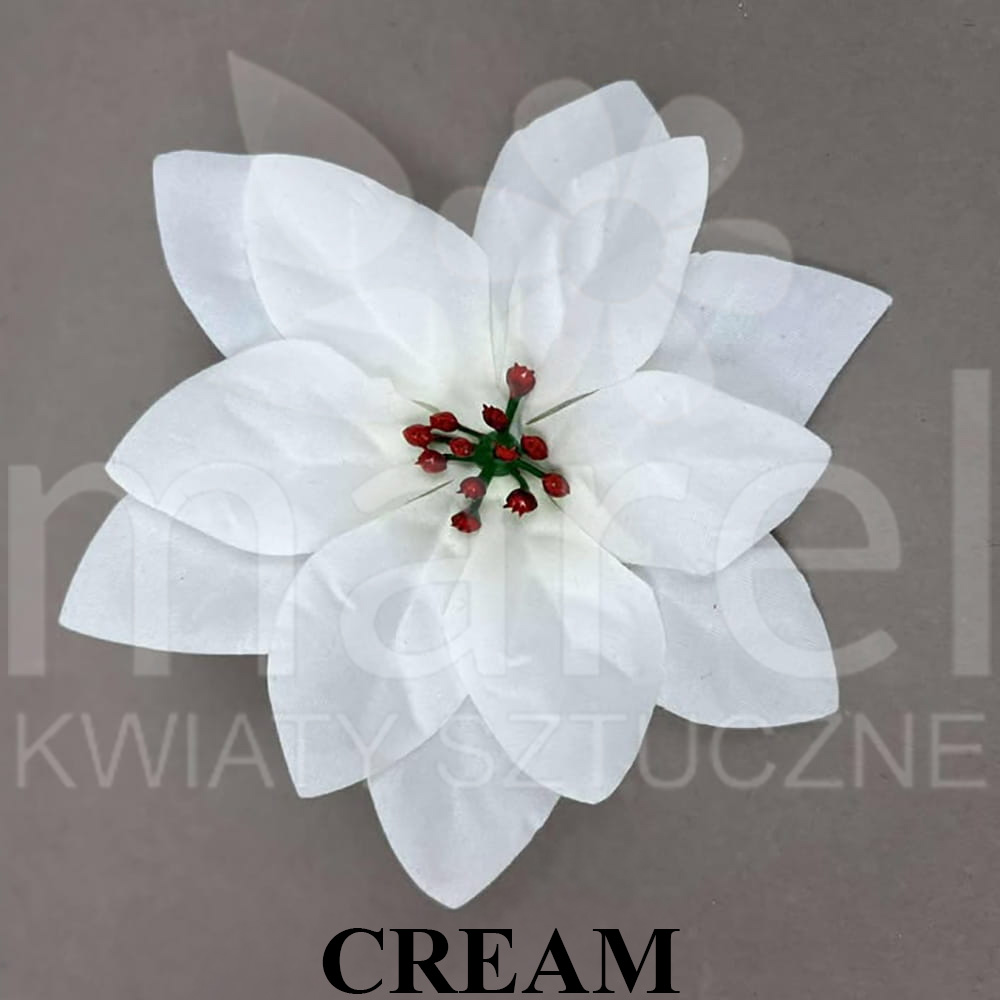 CREAM.jpg