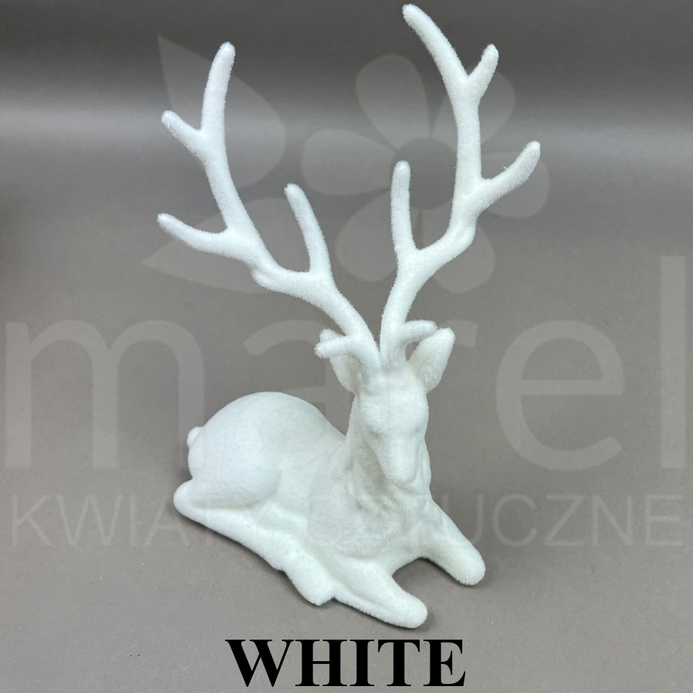 05734-26 WHITE.jpg